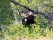 Grand Teton National Park