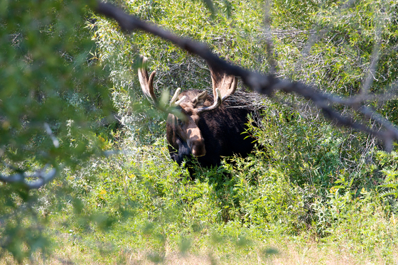 Grand Teton National Park