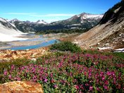 Glacier Peak Wilderness