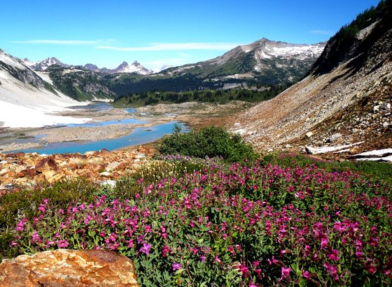 Glacier Peak Wilderness