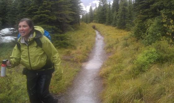 glacier np