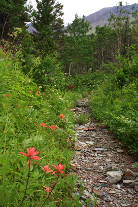 Glacier National Park