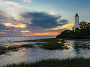 St. Marks National Wildlife Refuge