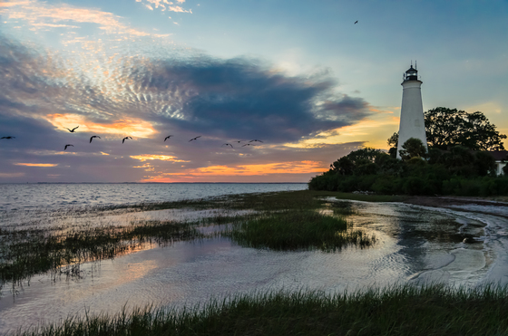 St. Marks National Wildlife Refuge