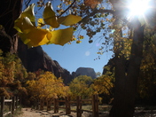 Zion National Park