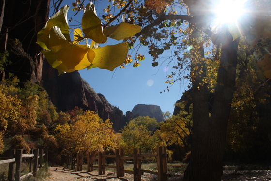 Zion National Park