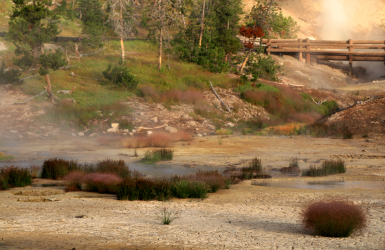 Yellowstone