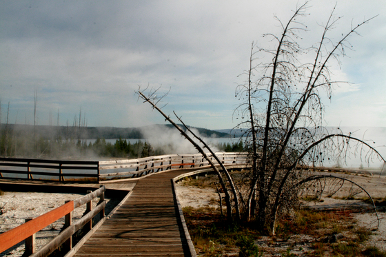 Yellowstone