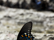 Great Smoky Mountains National Park