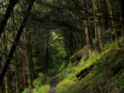 Great Smoky Mountains National Park