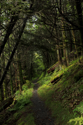 Great Smoky Mountains National Park