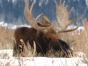 Grand Teton National Park