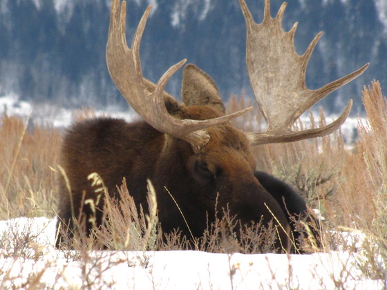 Grand Teton National Park