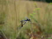 Acadia National Park