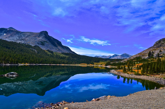 Yosemite National Park