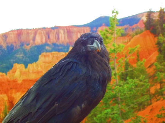 Bryce Canyon