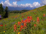 White River National Forest 
