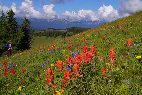 White River National Forest 