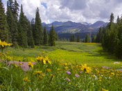White River National Forest 