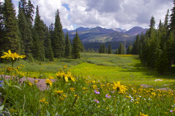 White River National Forest 