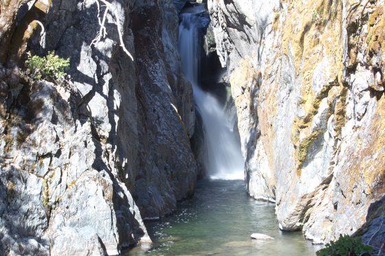 Tahoe National Forest