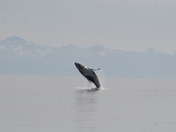 Glacier Bay National Park