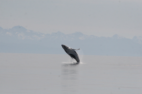 Glacier Bay National Park