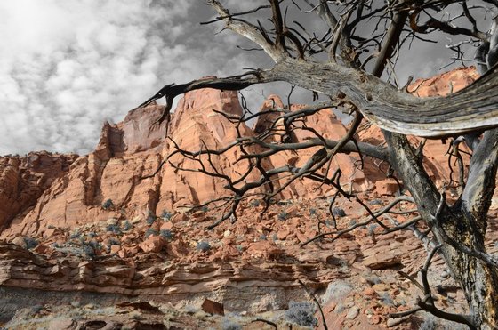 Capitol Reef