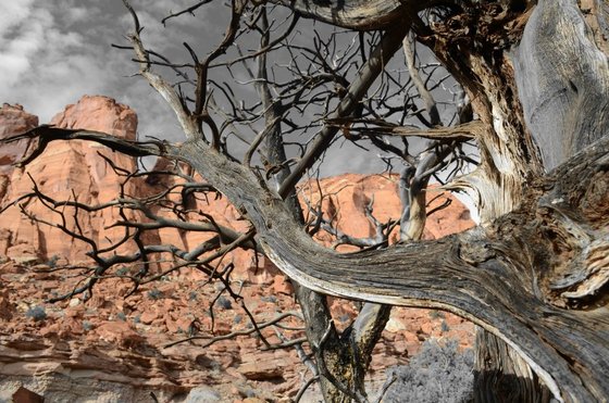 Capitol Reef