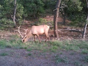 Grand Canyon National Park