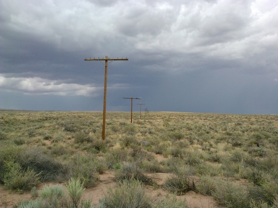 Petrified Forest National Park