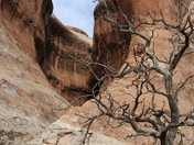 Arches National Park