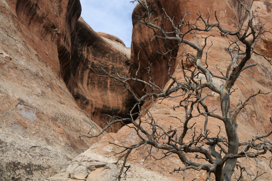 Arches National Park