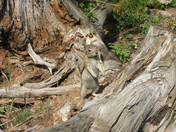 Rocky Mountain National Park