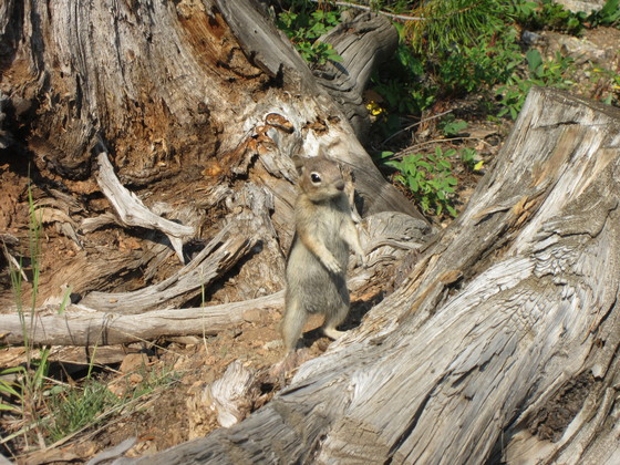 Rocky Mountain National Park