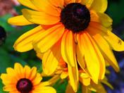  Gateway National Park - Staten Island