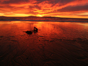 Channel Islands National Park