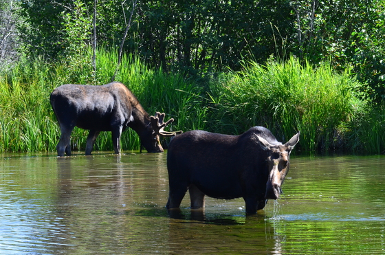Grand Teton National Park