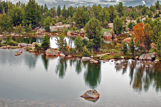 Shoshone National Forest