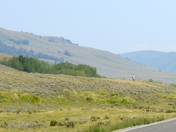 Yellowstone National Park