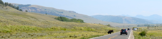 Yellowstone National Park