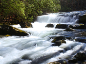 Great Smoky Mountains