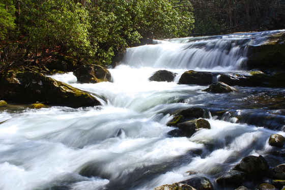 Great Smoky Mountains