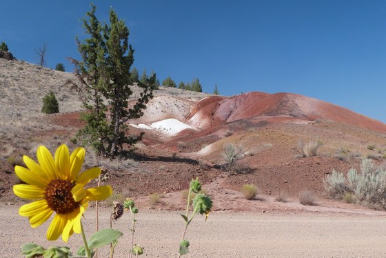 John Day Fossil Beds Painted Hills Unit