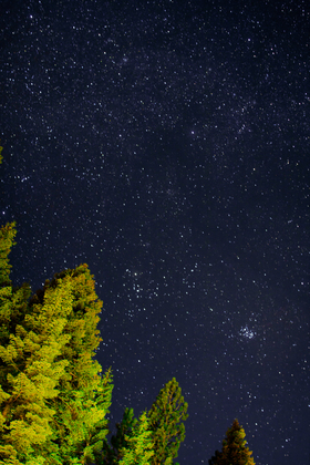 Tahoe National Forest