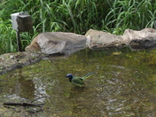 Santa Anna National Wildlife Regues