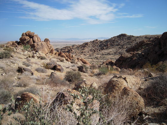 Joshua Tree National Park
