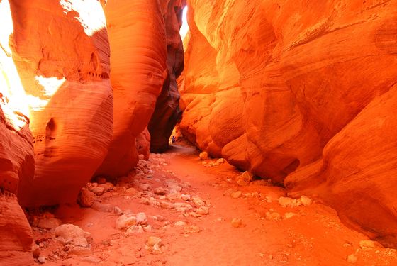 Paria Canyon-Vermilion Cliffs Wilderness Area 