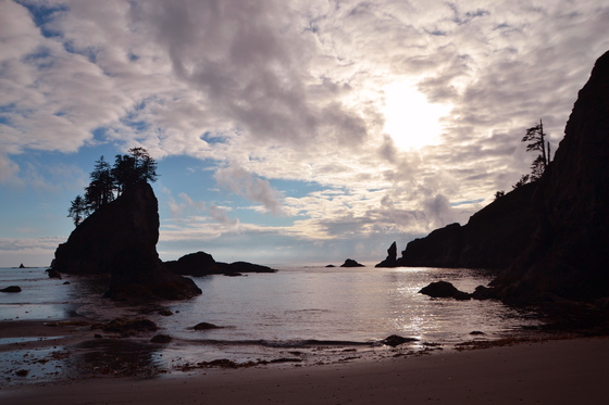 Olympic National Park