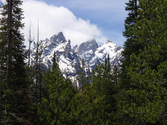 Yellowstone national park
